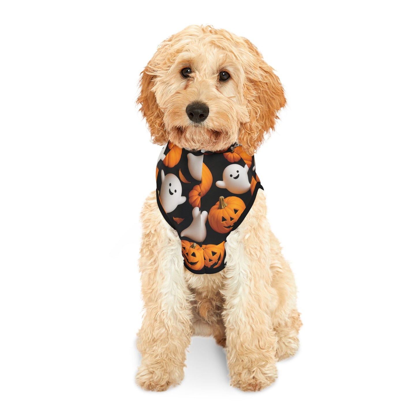 Halloween Pet Hoodie, Cozy Pet Costume