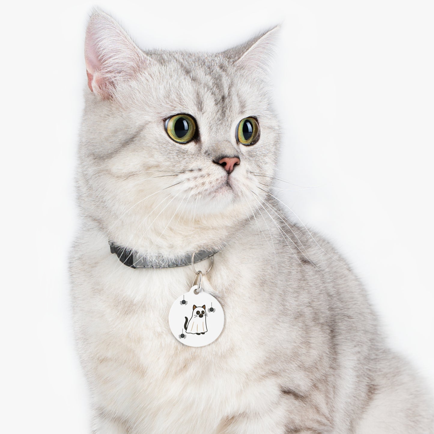 Spooky Cat Pet Tag - Halloween Kitty ID Tag, Cute Pet Accessory