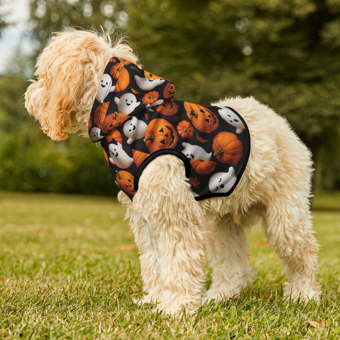 Halloween Pet Hoodie, Cozy Pet Costume
