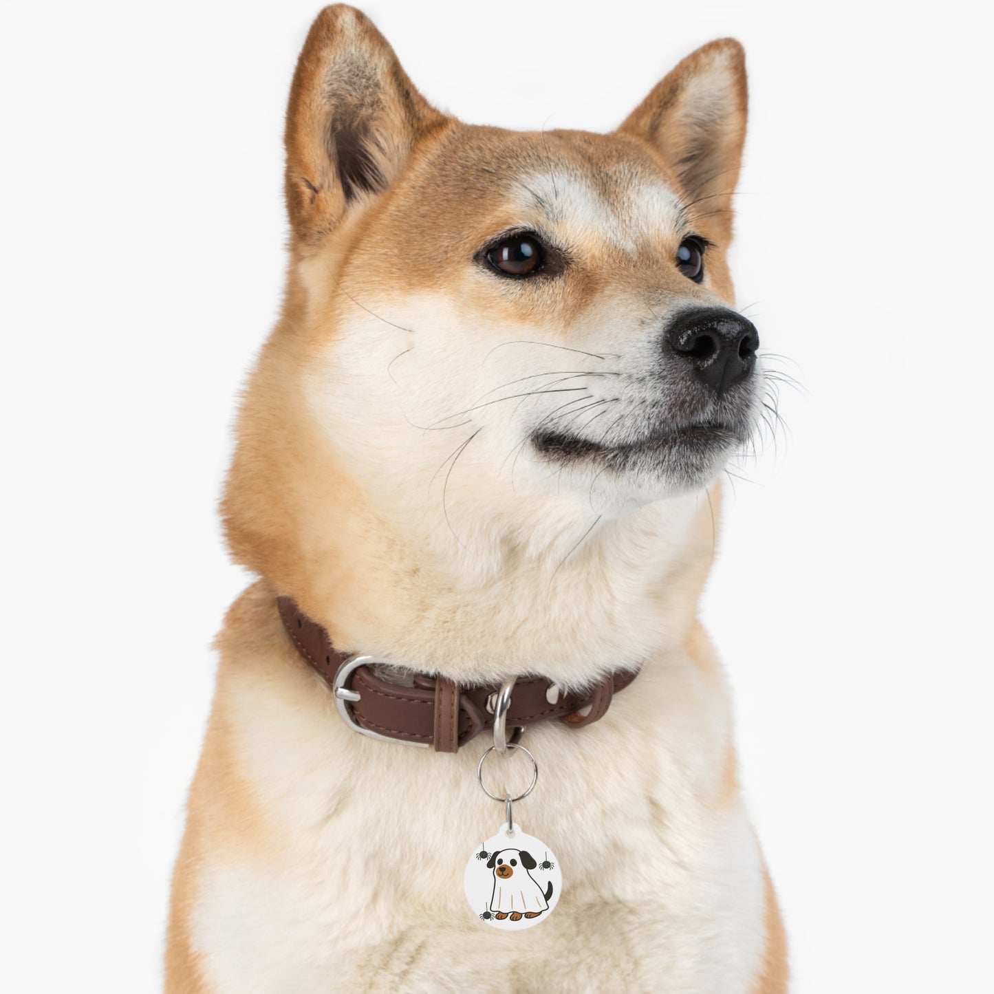 Cute Halloween Pet Tag, Funny Dog ID Tag, Gifts for Pet Lovers