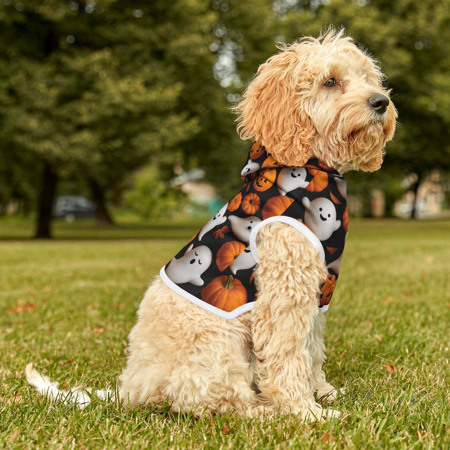 Halloween Pet Hoodie, Cozy Pet Costume