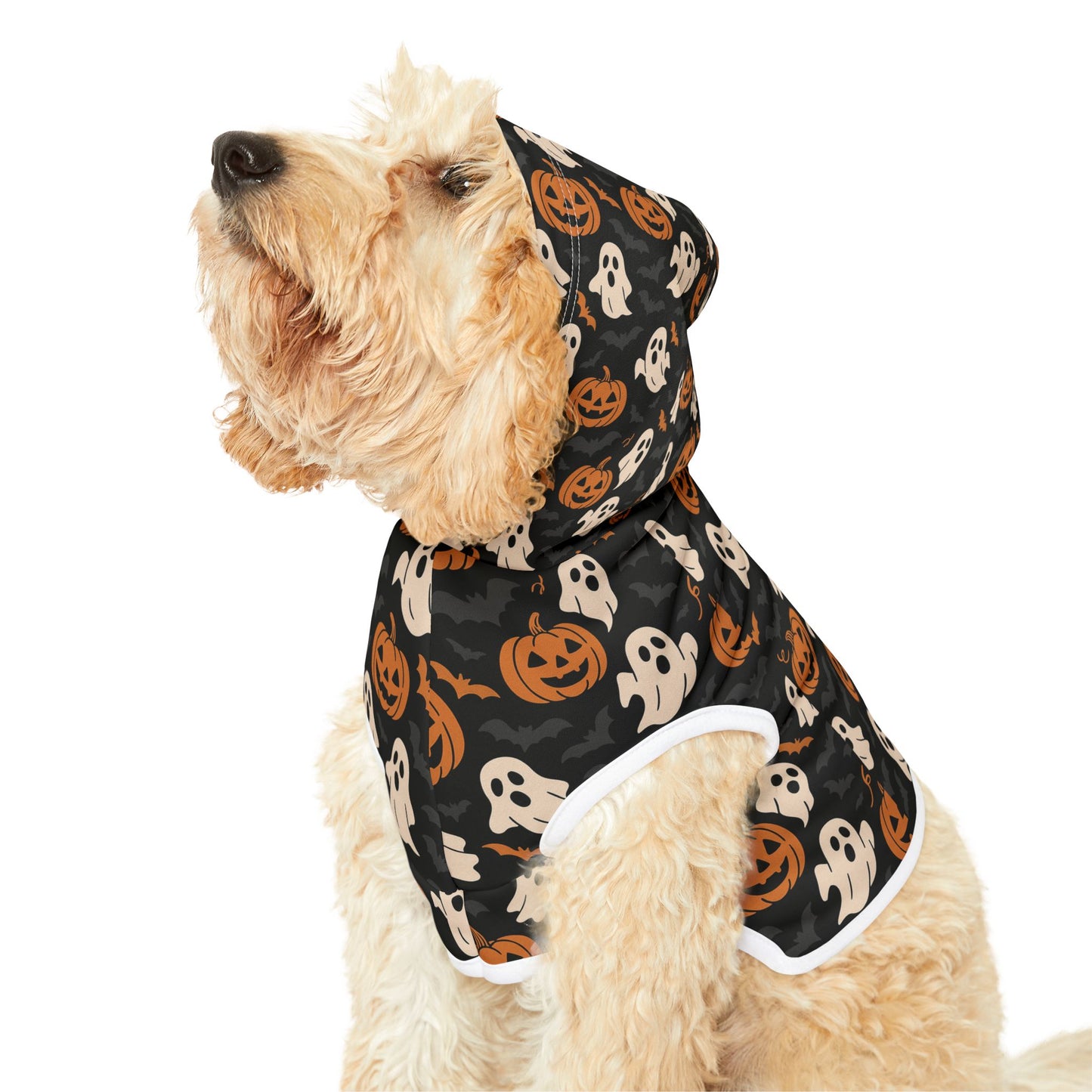 Halloween Pet Hoodie, Cozy Dog Costume, Autumn Pet Apparel, Spooky Pet Wear