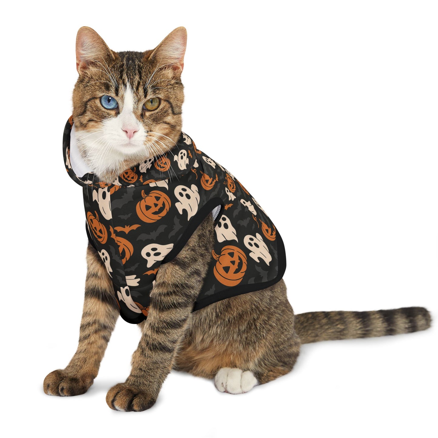 Halloween Pet Hoodie, Cozy Dog Costume, Autumn Pet Apparel, Spooky Pet Wear