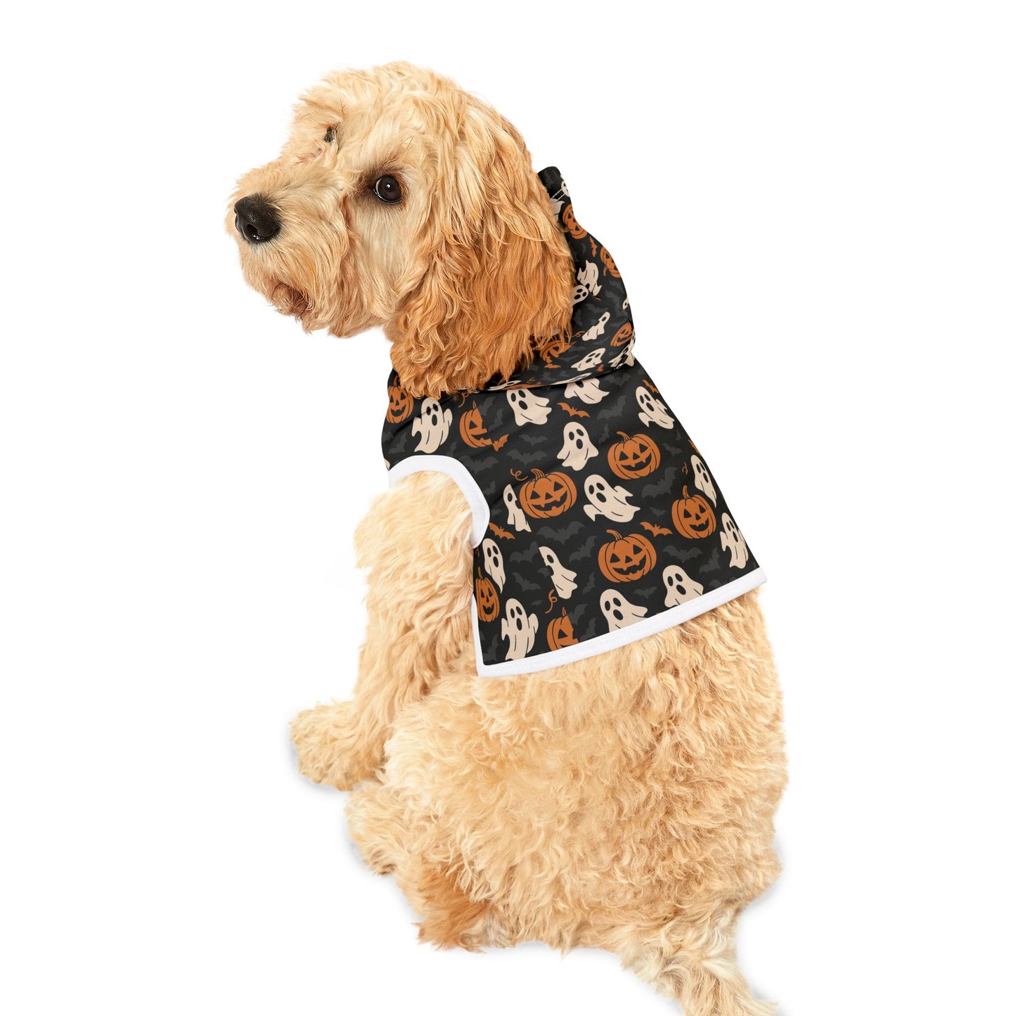 Halloween Pet Hoodie, Cozy Dog Costume, Autumn Pet Apparel, Spooky Pet Wear