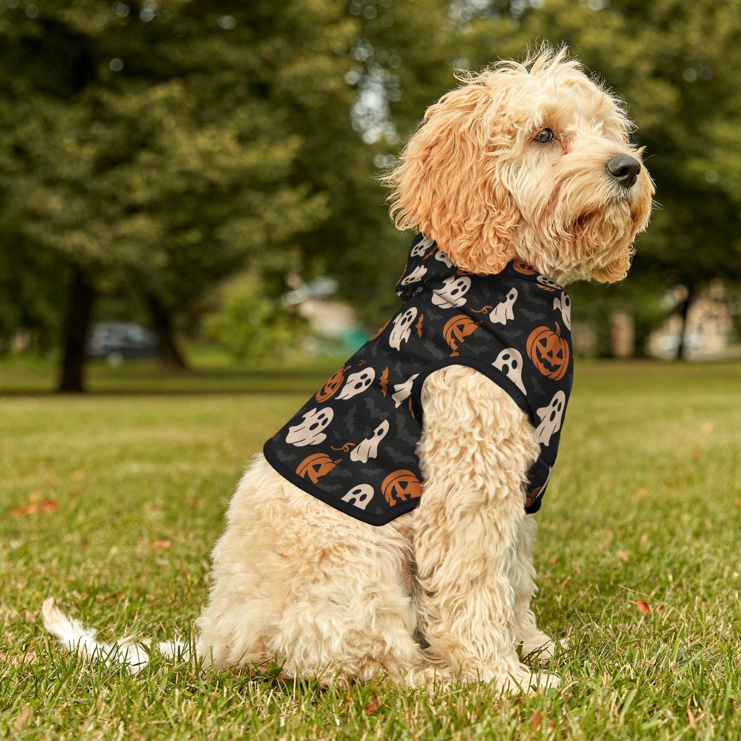 Halloween Pet Hoodie, Cozy Dog Costume, Autumn Pet Apparel, Spooky Pet Wear