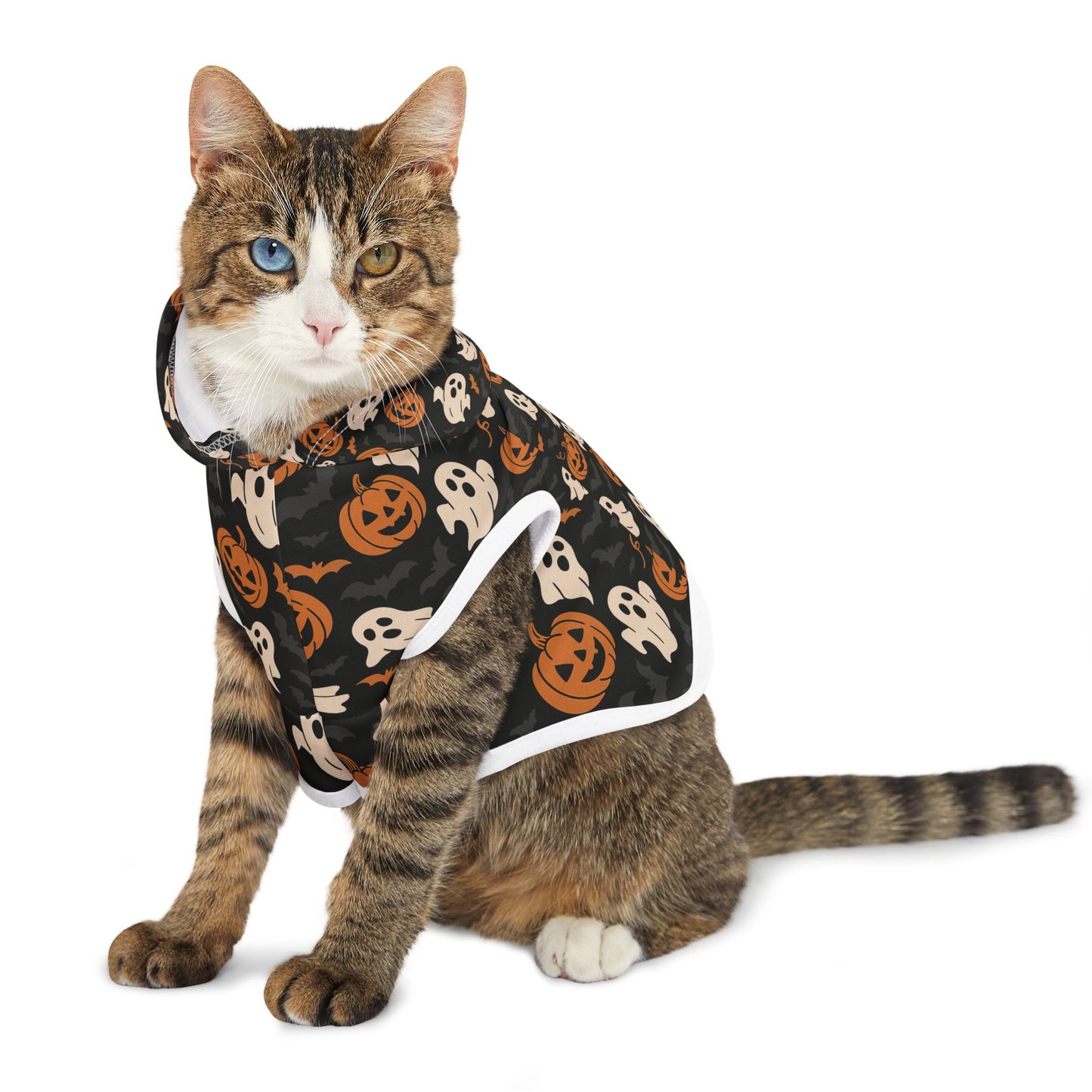 Halloween Pet Hoodie, Cozy Dog Costume, Autumn Pet Apparel, Spooky Pet Wear