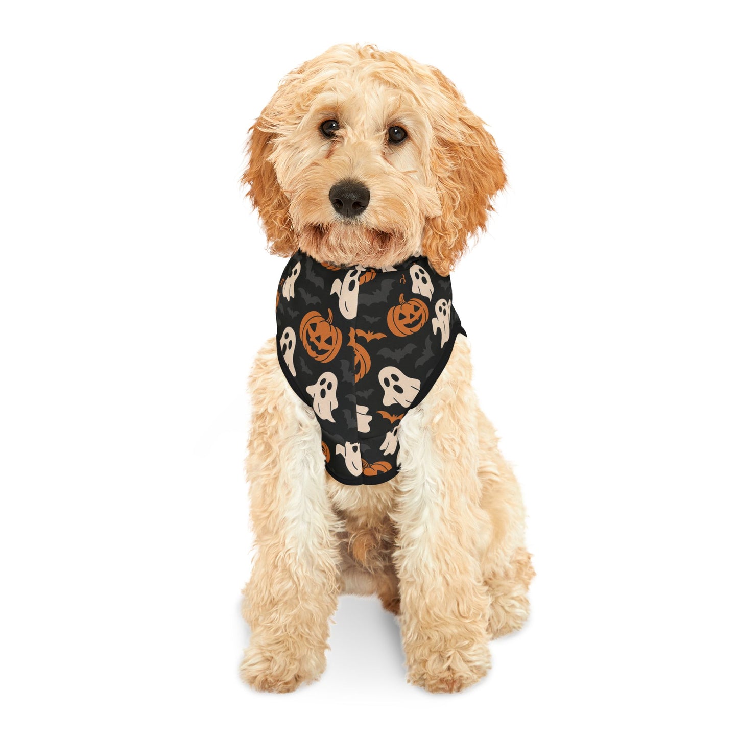 Halloween Pet Hoodie, Cozy Dog Costume, Autumn Pet Apparel, Spooky Pet Wear