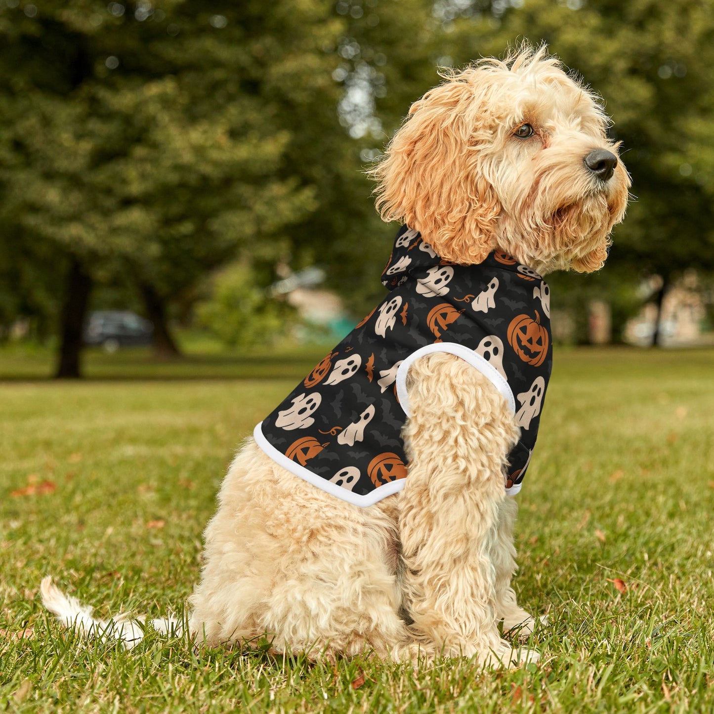 Halloween Pet Hoodie, Cozy Dog Costume, Autumn Pet Apparel, Spooky Pet Wear