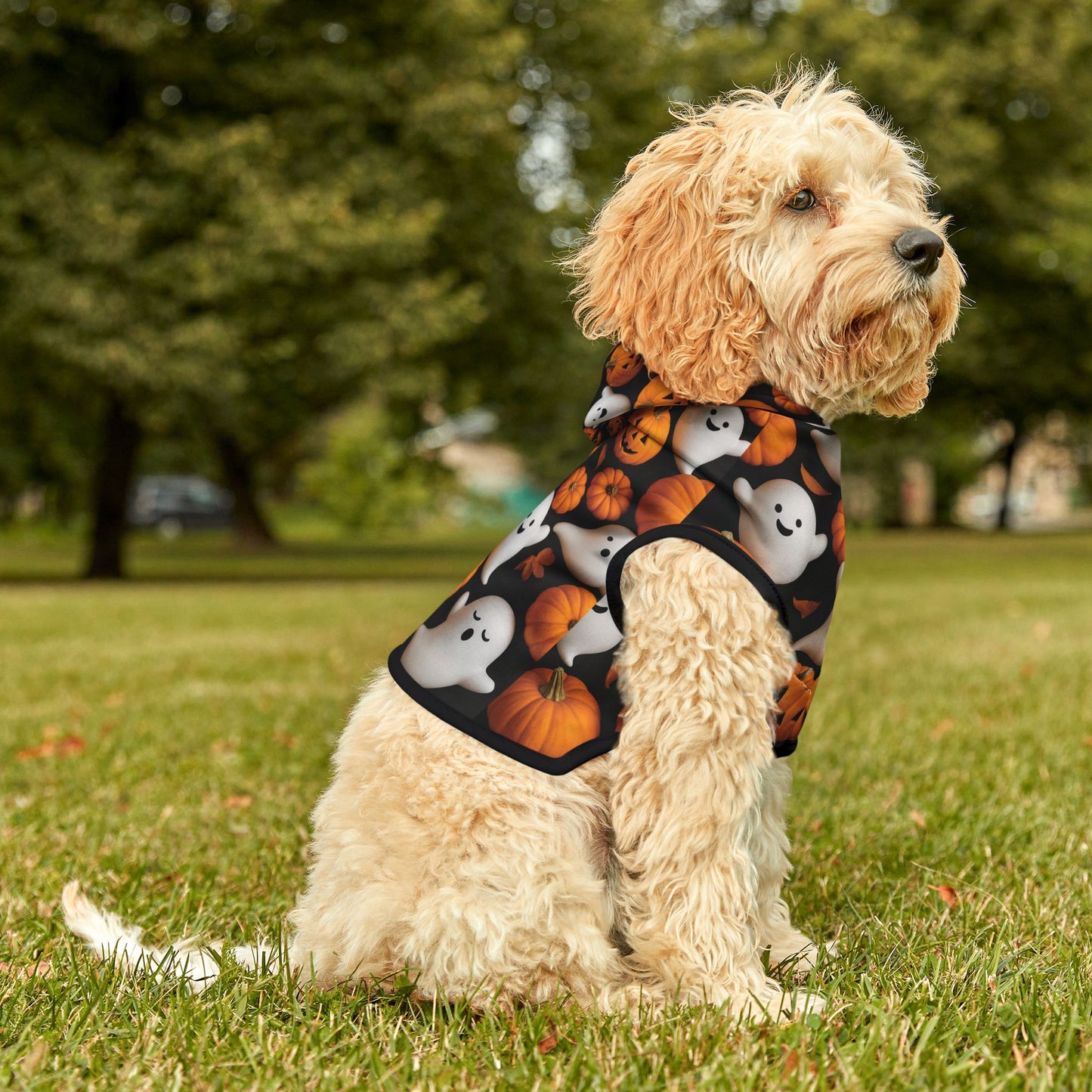 Halloween Pet Hoodie, Cozy Pet Costume