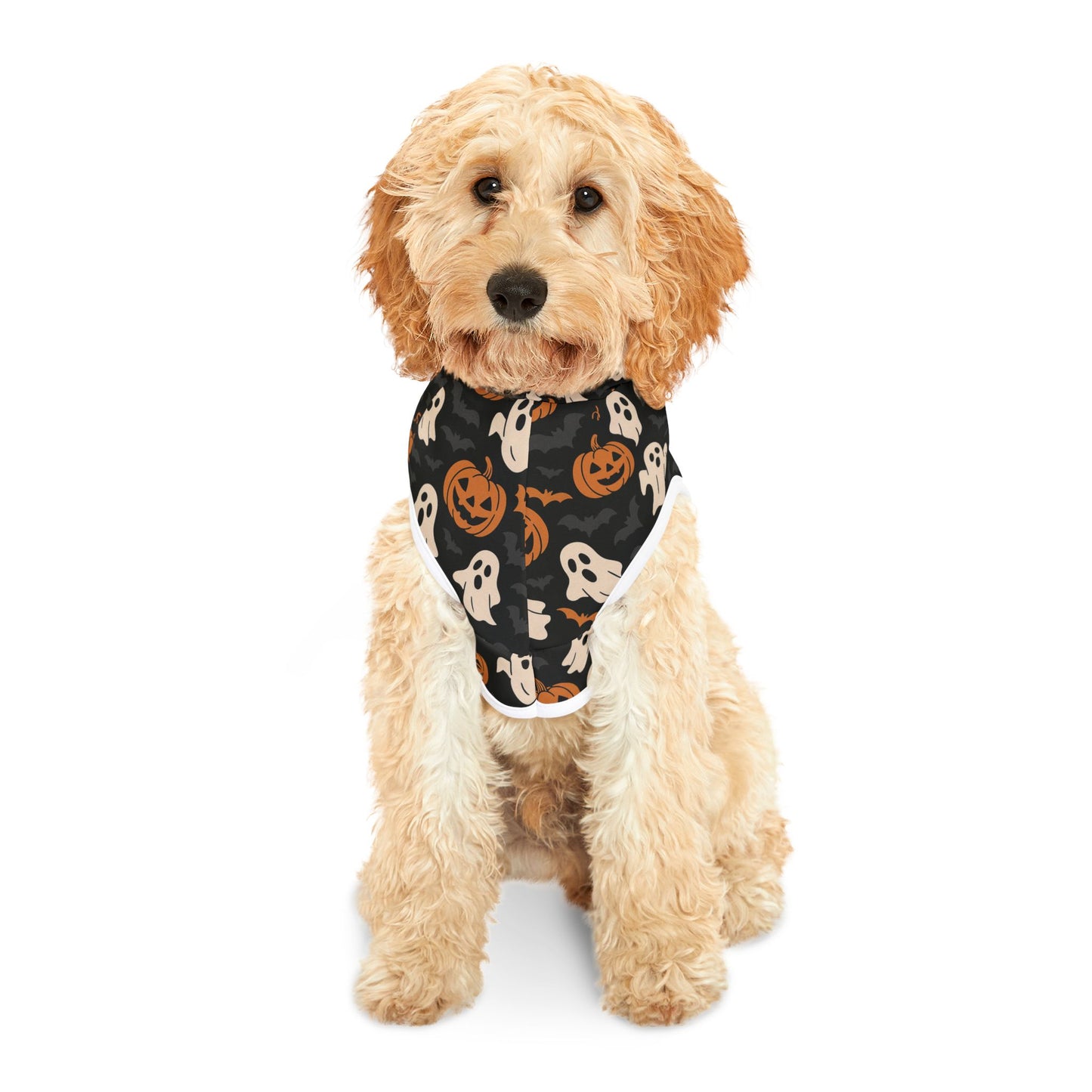Halloween Pet Hoodie, Cozy Dog Costume, Autumn Pet Apparel, Spooky Pet Wear