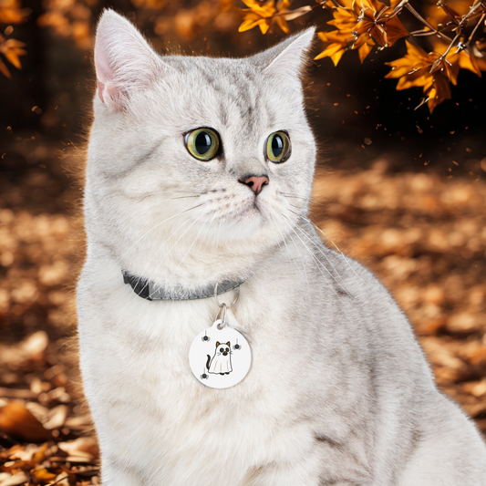 Personalized Spooky Cat Pet Tag - Halloween Kitty ID Tag, Cute Pet Accessory