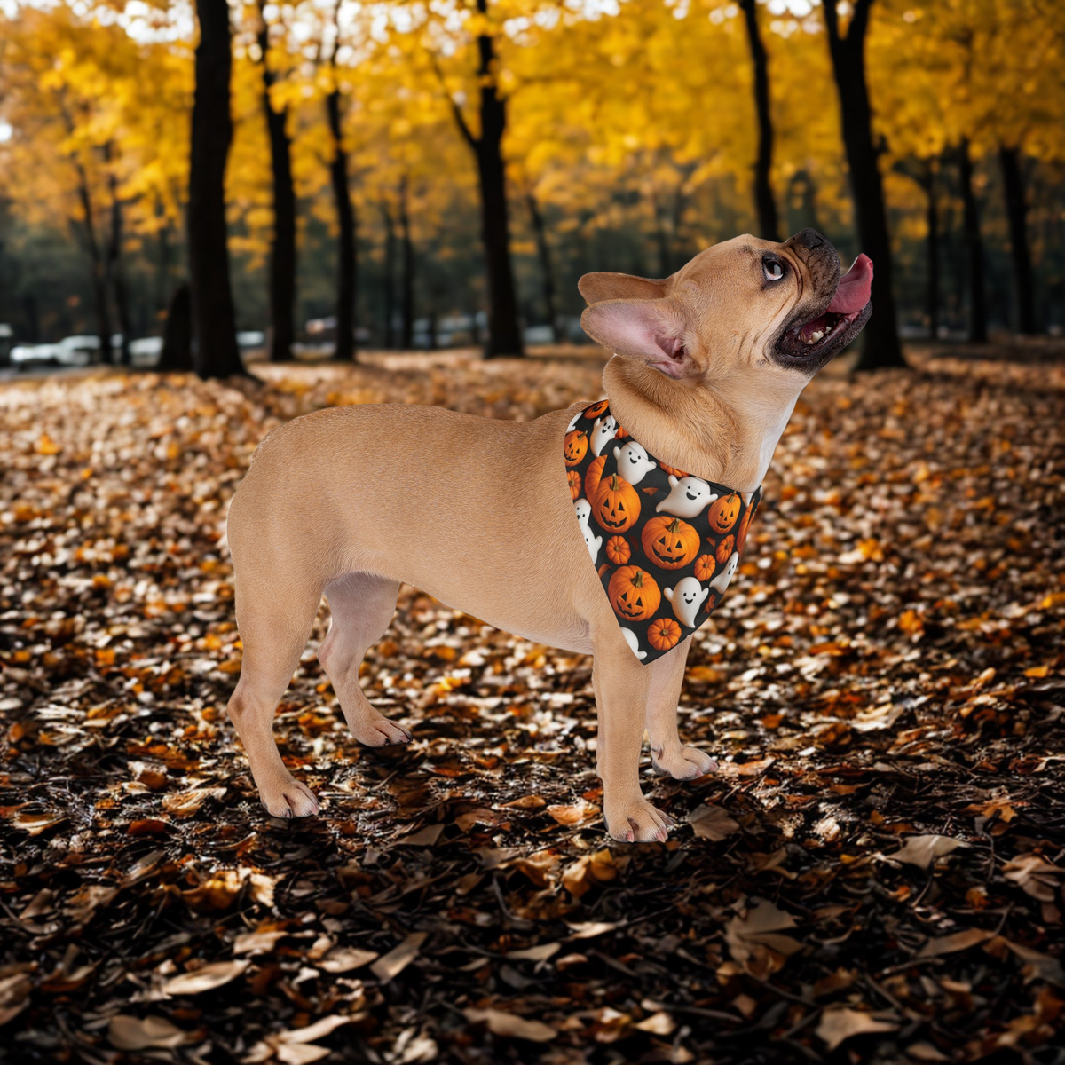 Halloween Pet Bandana, Spooky Scarf