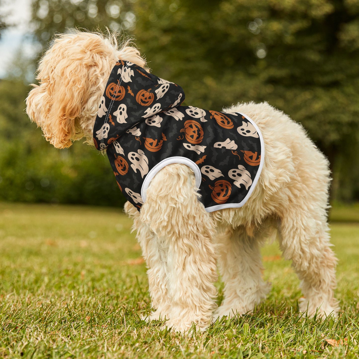 Halloween Pet Hoodie, Cozy Dog Costume, Autumn Pet Apparel, Spooky Pet Wear
