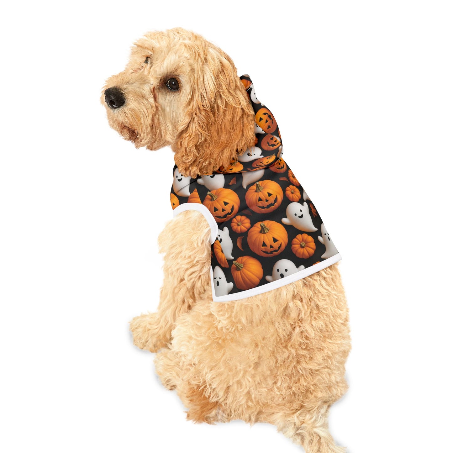 Halloween Pet Hoodie, Cozy Pet Costume