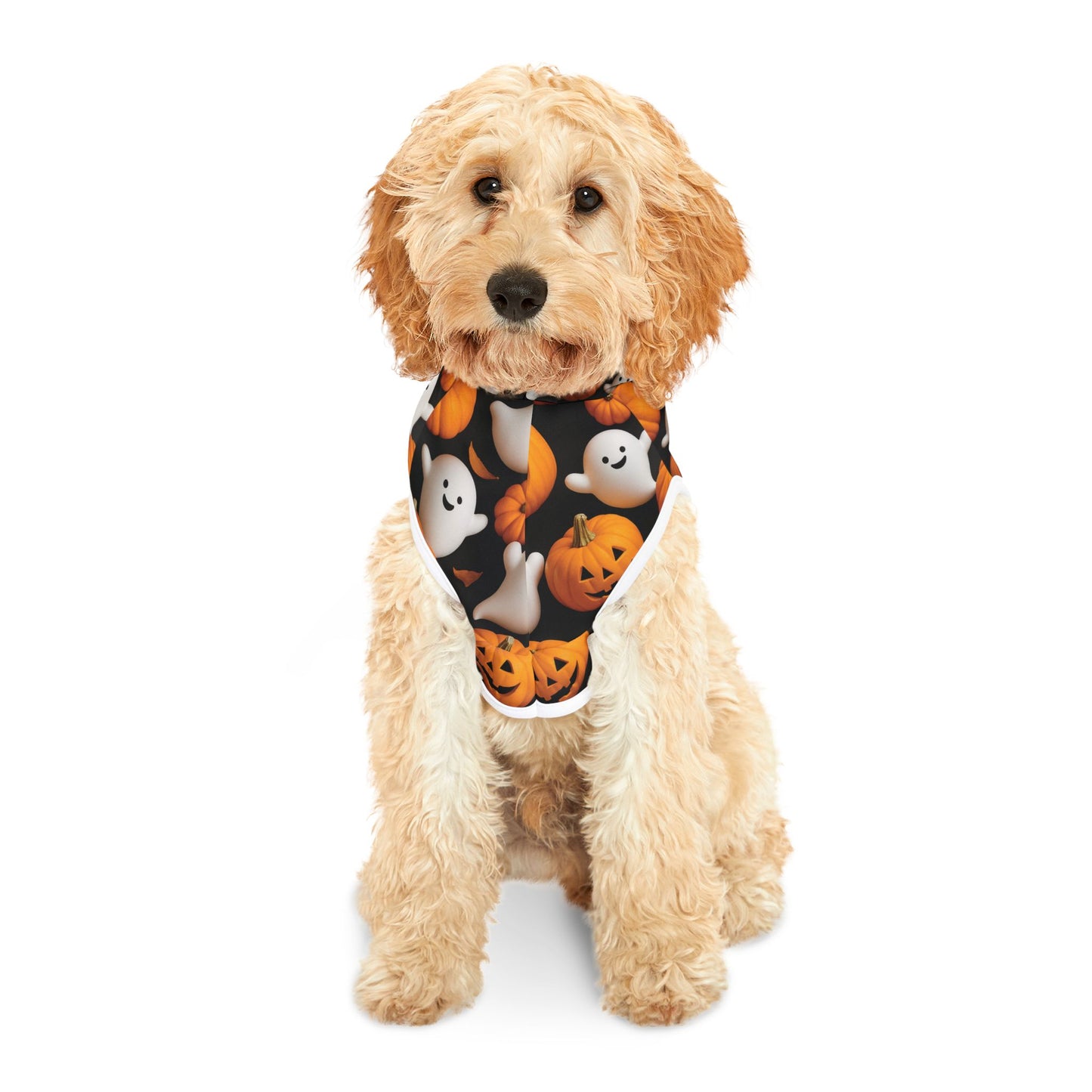 Halloween Pet Hoodie, Cozy Pet Costume