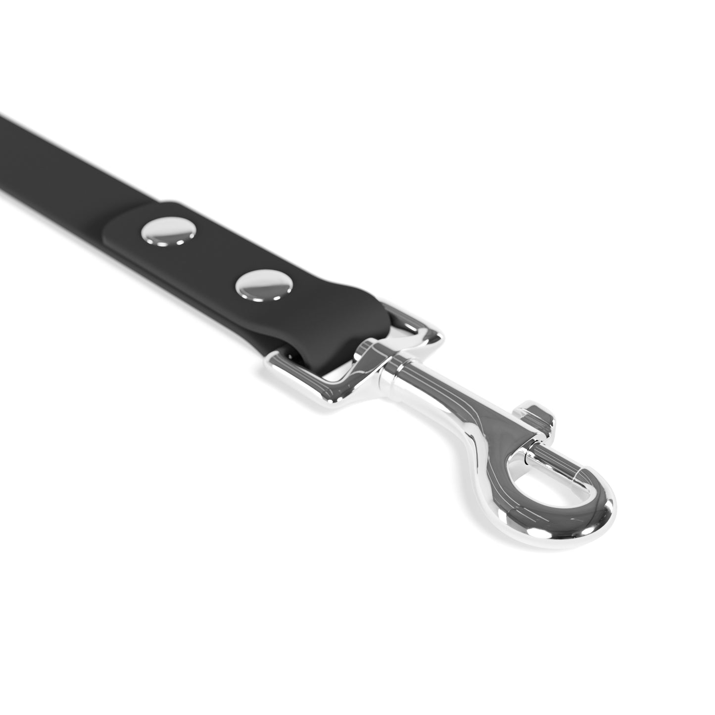 Stylish Pet Leash, Dog Walking Gear, Pet Accessories for Halloween